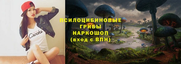 винт Арсеньев